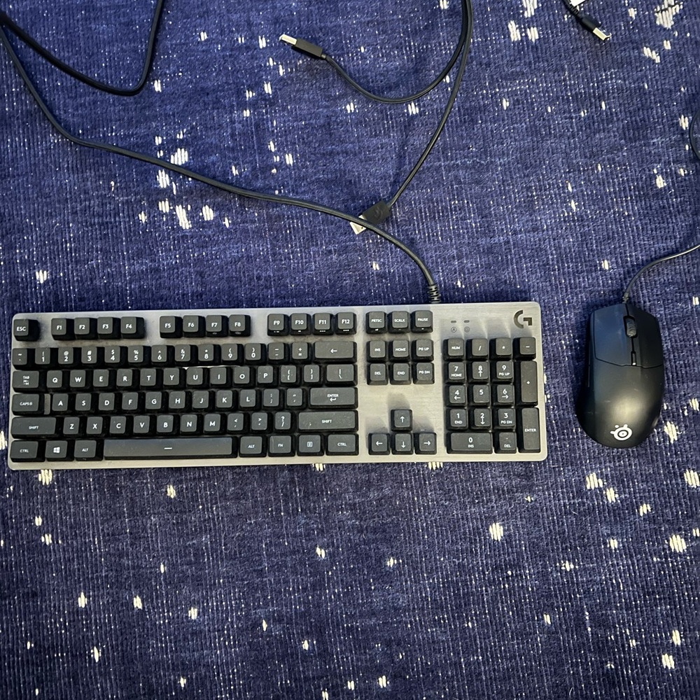 Logitech G413 Gaming Keyboard and Steelseries Mouse